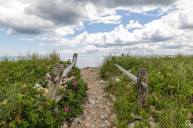 Explore the trails of Center Hill Preserve in Bayside Beach.