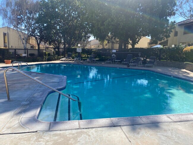 Large Pool - 1859 Delta Ave