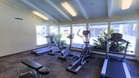 This fitness center offers a bright and functional environment for exercise and wellness. The space is defined by a row of large windows along one wall, flooding the room with natural light and providing views of the surrounding outdoor greenery, creating an open and energizing atmosphere during workouts.

The ceiling features exposed beams accented by overhead fluorescent lighting, lending the space a clean, structured aesthetic. The flooring consists of durable, patterned carpet tiles well-suited for a high-traffic fitness environment.

The cardio equipment includes treadmills, a stationary bike, and an elliptical trainer, all positioned to face the windows and take advantage of the natural light and outdoor views. A weight bench is also present, providing space for strength training and stretching. Potted plants near the windows add a touch of natural warmth to the space.

Overall, the fitness center is thoughtfully arranged to maximize usability while maintaining an inviting ambiance. The combination of ample natural light, practical equipment selection, and clean design makes this a versatile and comfortable space for residents or users looking to maintain an active routine.