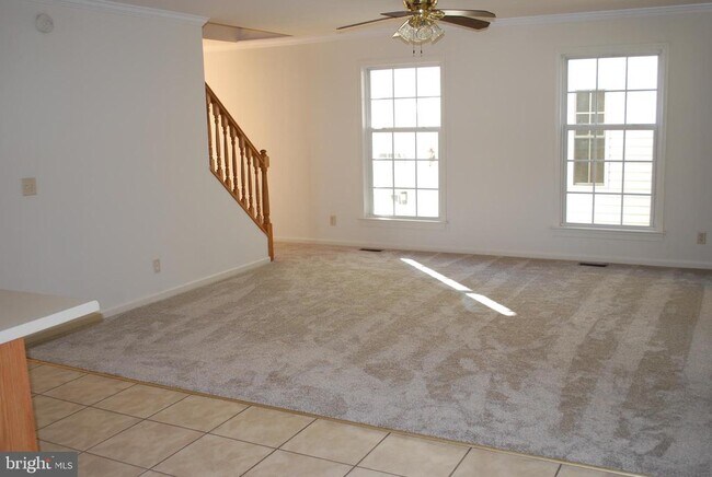 Building Photo - 245 7th St