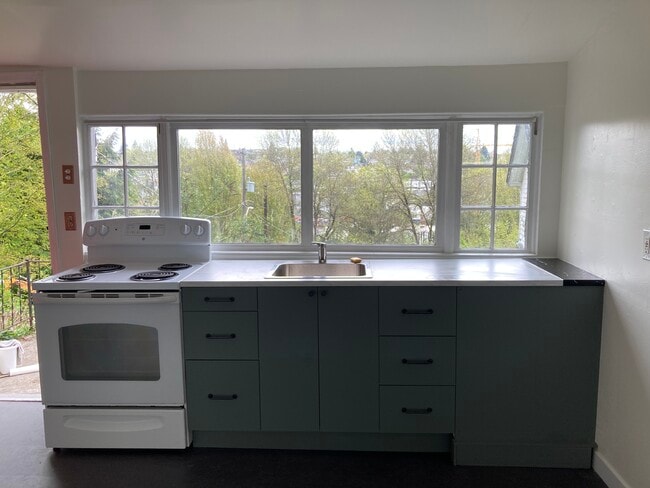 Photo - 1101 Sturgus Ave S Apartments