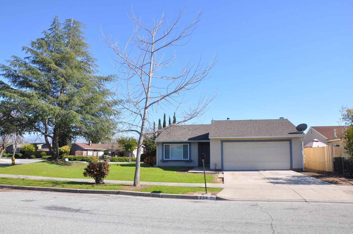 Primary Photo - 734 Webster Dr