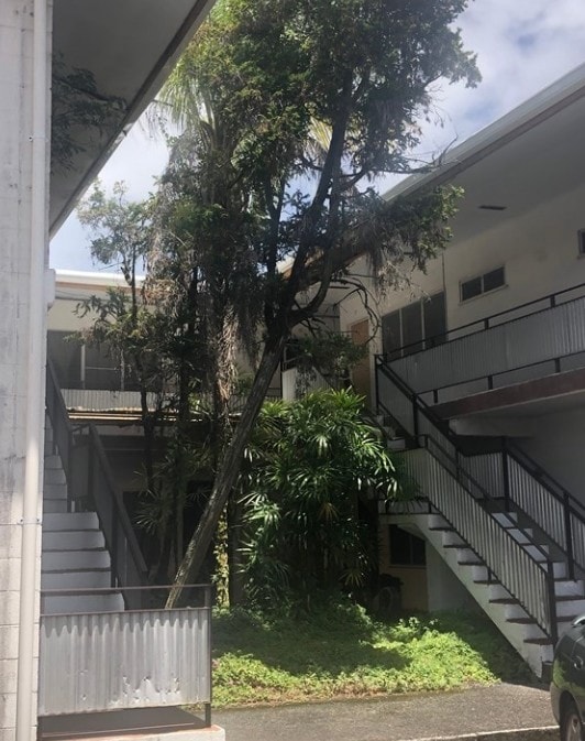 Primary Photo - 205 Haili St