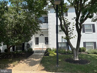 Building Photo - 8 Gurteen Ct