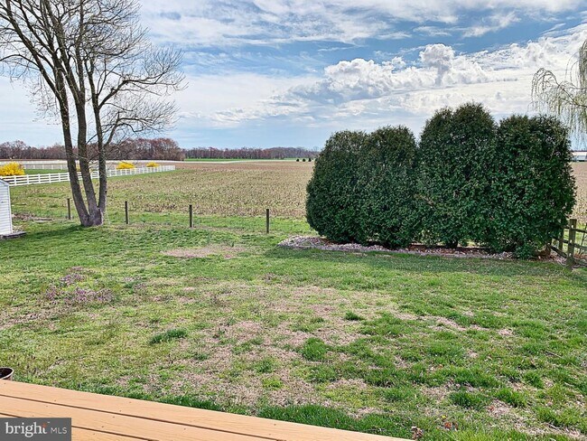 Foto del edificio - 5 White Rabbit Dr