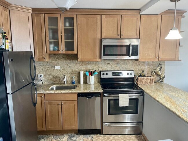 Foto del edificio - 1355 N Sandburg Terrace
