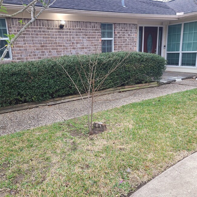 Foto del edificio - 1006 Walnut Bend Ln