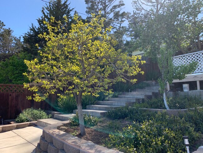 Foto del edificio - 251 Amador Ave