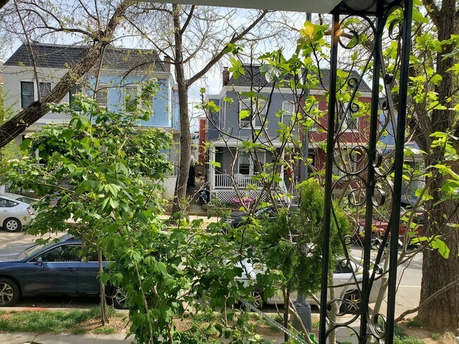 Looking out the living room window - 719 Harvard St NW