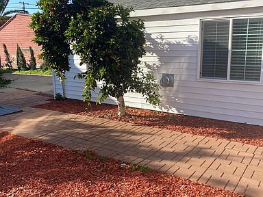 Walkway to the Cottage - 9020 Hillside St