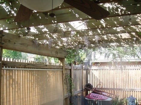 Primary Photo - Sunny 3 BR / 2 BA Beautiful Home in Museum...