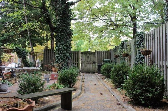 backyard - 1802 Bolton St