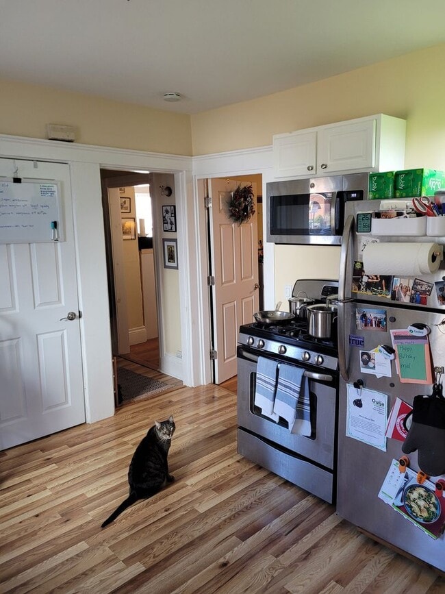 Photo - 7 Craigie Terrace Apartment