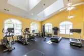 Located at 32 Ashbury Woods Dr in Huntsville, Alabama, this well-appointed fitness center offers a bright and spacious environment designed to support a full workout experience. The room features soaring vaulted ceilings, accentuated by ceiling fans that keep the space comfortable during exercise. Warm yellow walls create an energizing atmosphere, while durable dark rubber flooring covers the entire area, providing a safe and functional surface for all types of activity.

Natural light pours in through multiple arched and standard windows, offering pleasant views of the surrounding greenery. A large wall-to-wall mirror spans one side of the room, visually expanding the space and allowing users to monitor their form during workouts. The fitness center is equipped with a comprehensive selection of cardio machines, including treadmills, ellipticals, and a stationary bike, as well as a rowing machine. A dedicated free weights station features a full dumbbell rack alongside a medicine ball tower.

A wall-mounted flat-screen television adds a convenient entertainment option. French-style glass-paned doors provide access to adjacent areas. The space also includes a small children's activity corner, making it accessible for families. Recessed and pendant lighting supplements the natural light throughout the room.