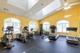 Located at 32 Ashbury Woods Dr in Huntsville, Alabama, this well-appointed fitness center offers a bright and spacious environment designed to support a full workout experience. The room features soaring vaulted ceilings, accentuated by ceiling fans that keep the space comfortable during exercise. Warm yellow walls create an energizing atmosphere, while durable dark rubber flooring covers the entire area, providing a safe and functional surface for all types of activity.

Natural light pours in through multiple arched and standard windows, offering pleasant views of the surrounding greenery. A large wall-to-wall mirror spans one side of the room, visually expanding the space and allowing users to monitor their form during workouts. The fitness center is equipped with a comprehensive selection of cardio machines, including treadmills, ellipticals, and a stationary bike, as well as a rowing machine. A dedicated free weights station features a full dumbbell rack alongside a medicine ball tower.

A wall-mounted flat-screen television adds a convenient entertainment option. French-style glass-paned doors provide access to adjacent areas. The space also includes a small children's activity corner, making it accessible for families. Recessed and pendant lighting supplements the natural light throughout the room.