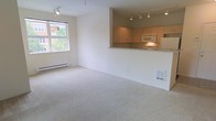 This single-floor unit offers a clean, open layout that seamlessly connects the living area to the kitchen, creating a cohesive and functional living space. The generously sized living area is finished with plush wall-to-wall carpeting in a neutral tone, providing a comfortable and inviting atmosphere. A large window allows abundant natural light to fill the room, offering views of greenery outside and contributing to the bright, airy feel of the space. A baseboard heating unit runs beneath the window, ensuring year-round comfort.

The kitchen is positioned at the back of the open-plan space, elevated slightly behind a pass-through counter finished with granite-style countertops. Light wood cabinetry lines the walls, providing ample storage, while under-cabinet lighting adds warmth and practicality to the cooking area. A built-in microwave and refrigerator are included among the kitchen appliances. Track lighting runs across the ceiling of both the living and kitchen areas, offering flexible and well-distributed illumination throughout. The combination of neutral walls, light wood tones, and consistent flooring choices gives the space a cohesive and understated aesthetic suited to a variety of furnishing styles.
