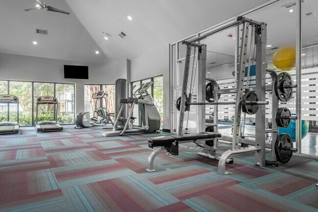 Gimnasio - Twelve100