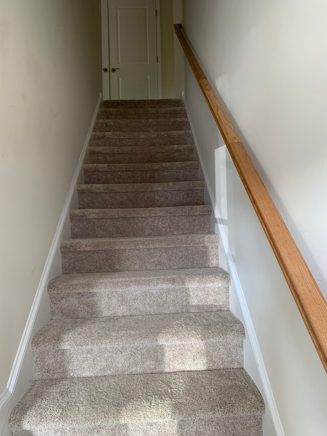 Stairs that lead to 3 bedroom/bathrooms upstairs - 239 Louise Ln