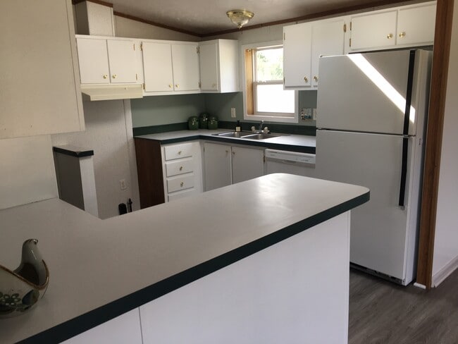 Kitchen - 290 Altamont Rd