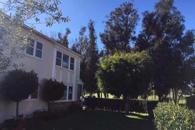 Front Yard View - 8616 McConnell Ave