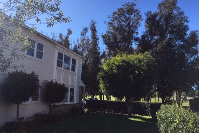 Front Yard View - 8616 McConnell Ave