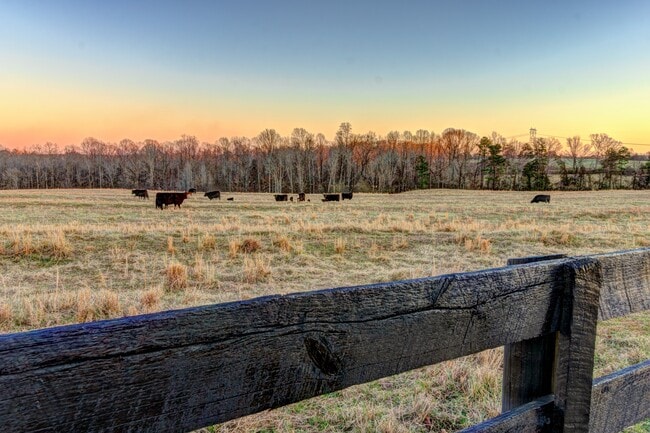 Foto del edificio - 2210 Stony Point Rd