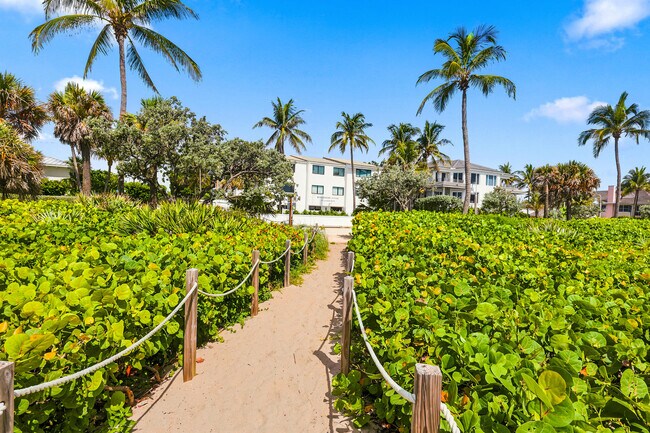 Building Photo - 250 S Ocean Blvd