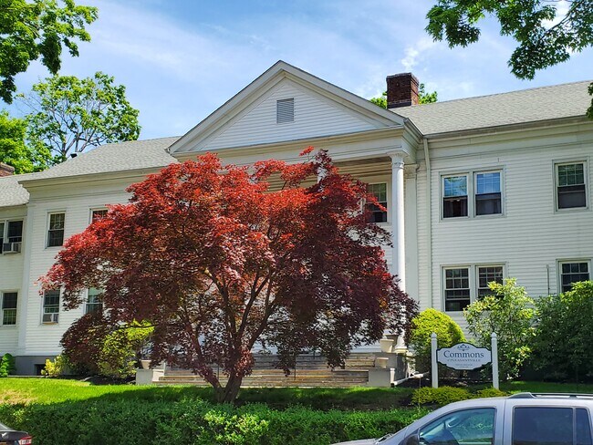Manville Rd - 290 Manville Rd