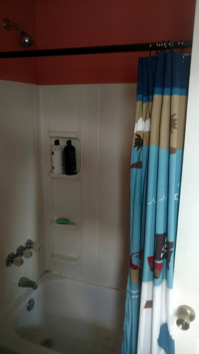 Bathroom - 88 Bond St