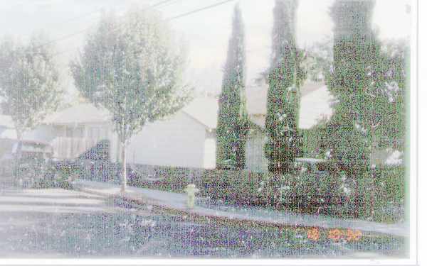 Foto del edificio - 673 Oak Ave