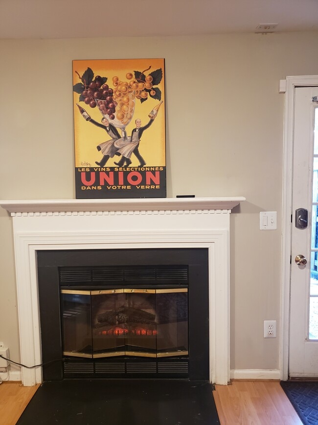 Chimenea eléctrica en funcionamiento - 21015 Lemon Springs Ter