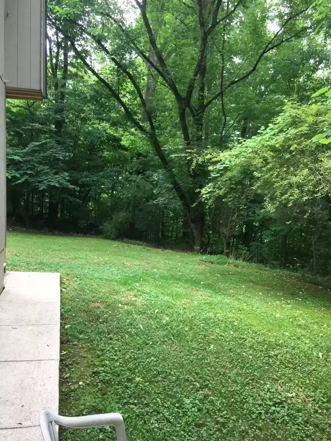 7710 Short Tail Springs Rd, Harrison, TN 37341 House Rental in