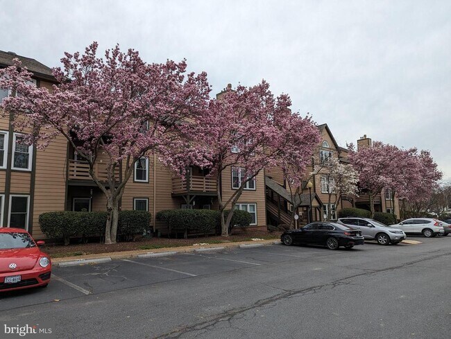 Building Photo - 243 Loudoun St