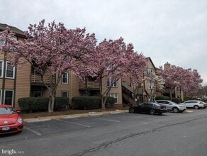 Building Photo - 243 Loudoun St SW