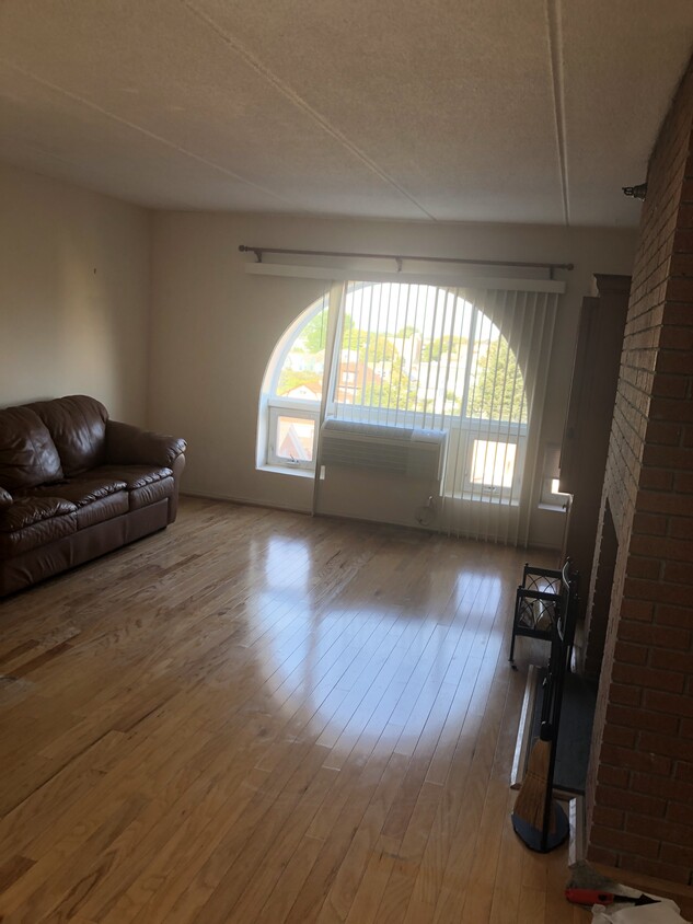 Main living room - 205 Mineola Blvd