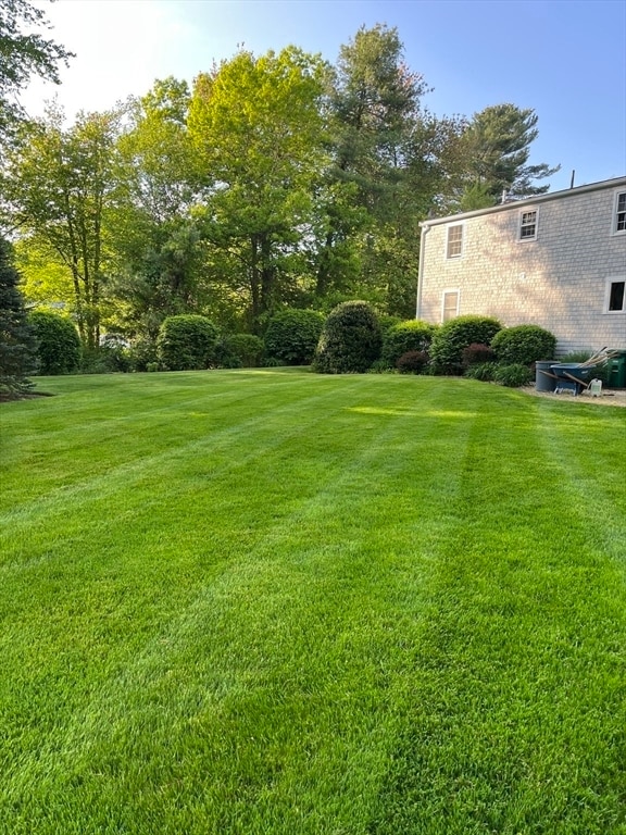 Building Photo - 19 Pelham St