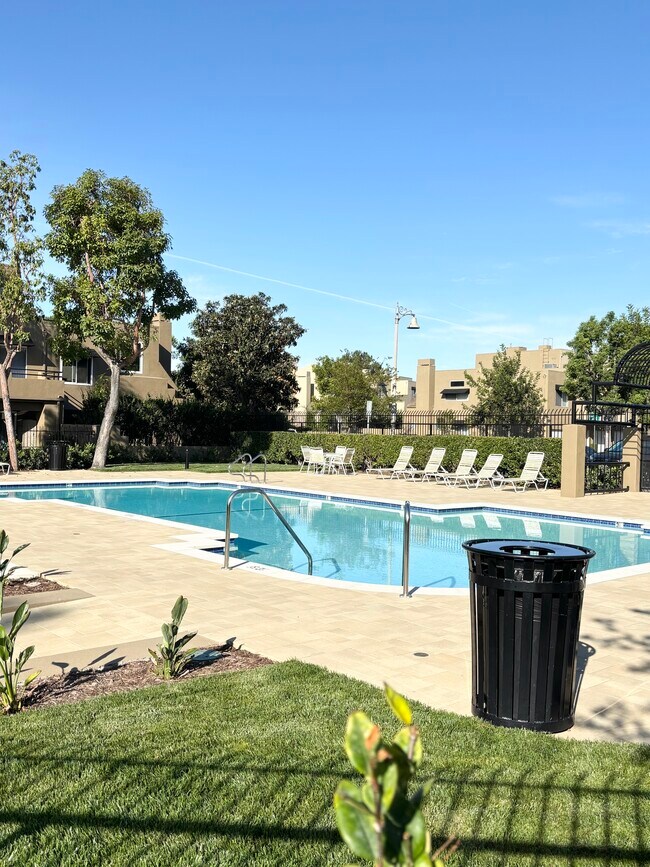 Main Pool area #1 - 27836 Persimmon