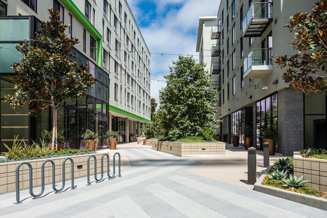 A breezy paseo with lush landscaping, perfect for a peaceful stroll or bike ride. - MacArthur Commons