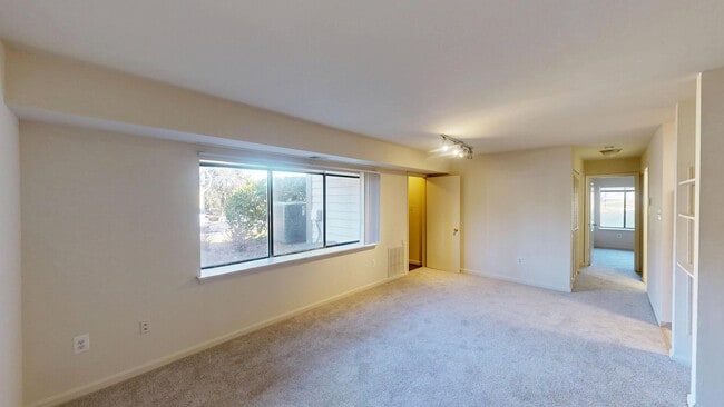 Interior Photo - Calvert's Walk