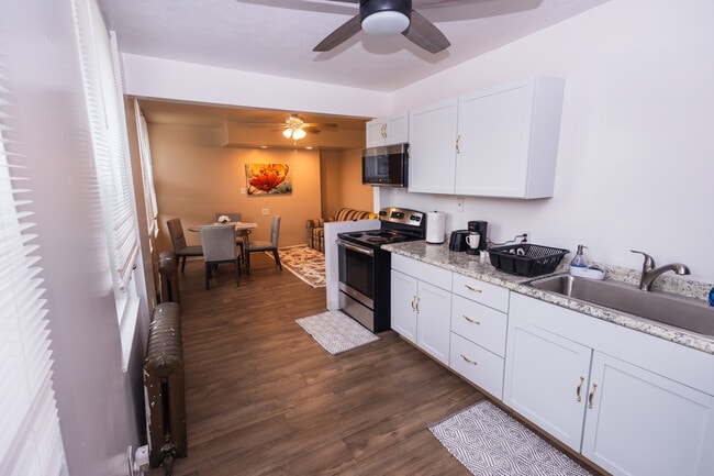 kitchen/living room - 245 Alice St