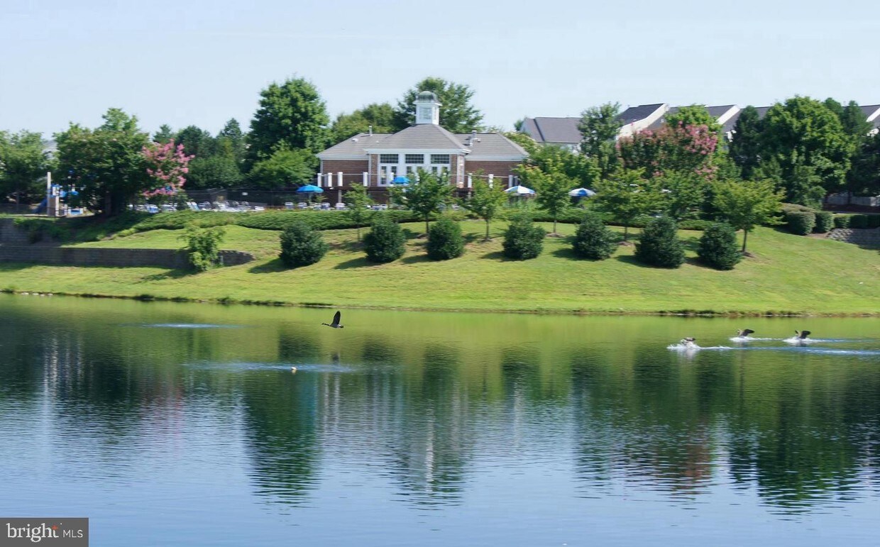 14150 Cuddy Loop Unit 101, Woodbridge, VA 22193 Condo for Rent in