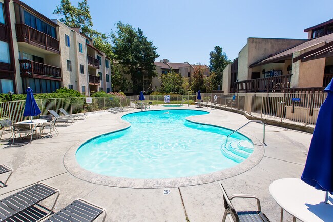 Three Swimming Pools - 12310 Summertime Ln