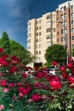 Building Photo - Sixteen Hundred Apartments
