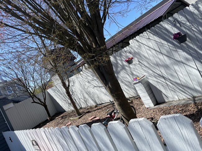 FENCED IN BACKYARD - 10 North St