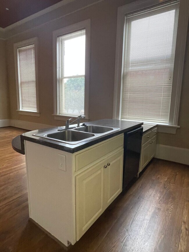 Building Photo - One Bedroom Apartment in Downtown With Ton...