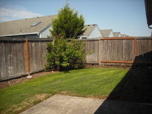 Building Photo - Maurina2