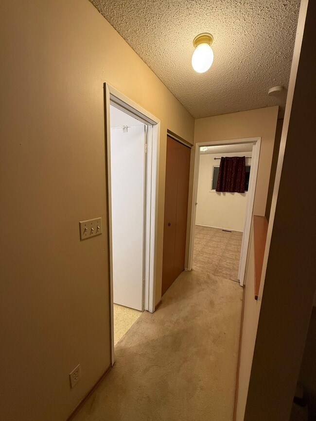 Photo du bâtiment - 29 Laurel Leaf Ln