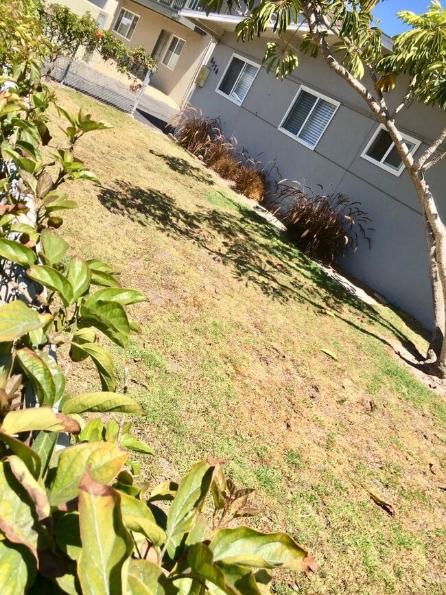 Foto del edificio - 6574 DP