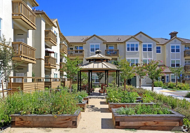 Building Photo - Meadow Wood At Alamo Creek