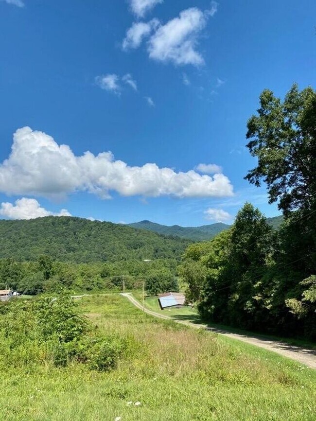 Building Photo - Large Candler Rental Home!